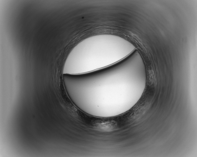 X0000099230267200804241235
