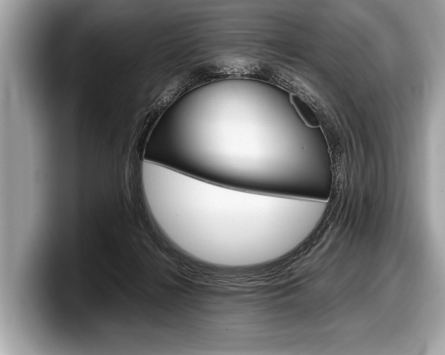 X0000099230268200804241235