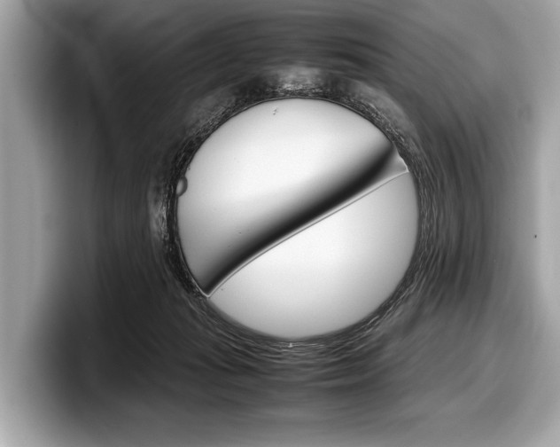 X0000099230269200804241235