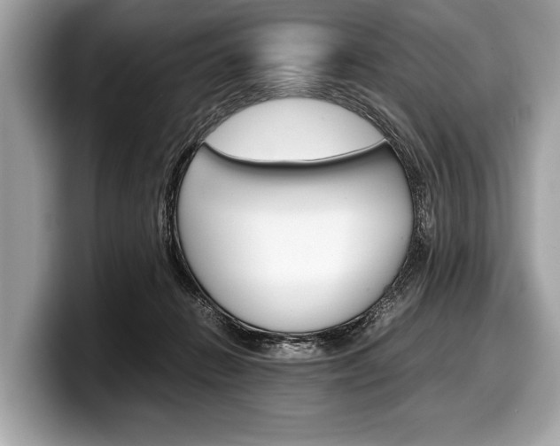X0000099230270200804241235