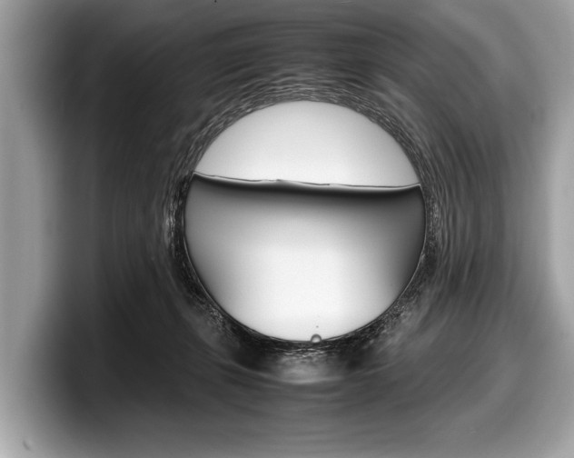 X0000099230271200804241235