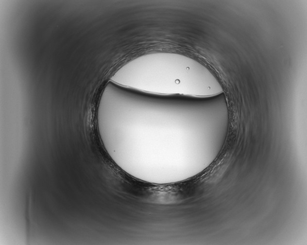 X0000099230273200804241235