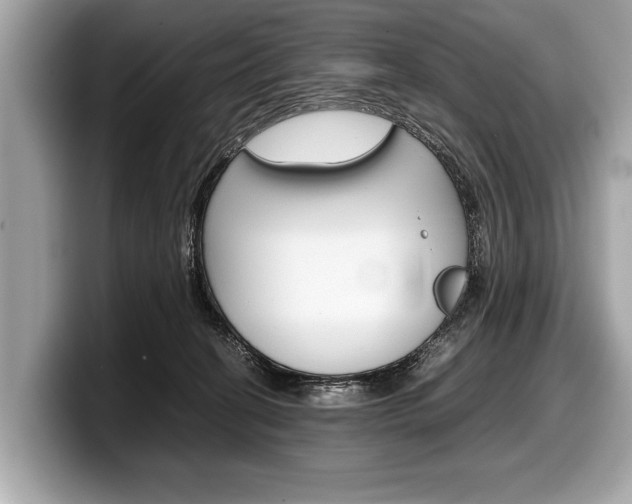 X0000099230274200804241235