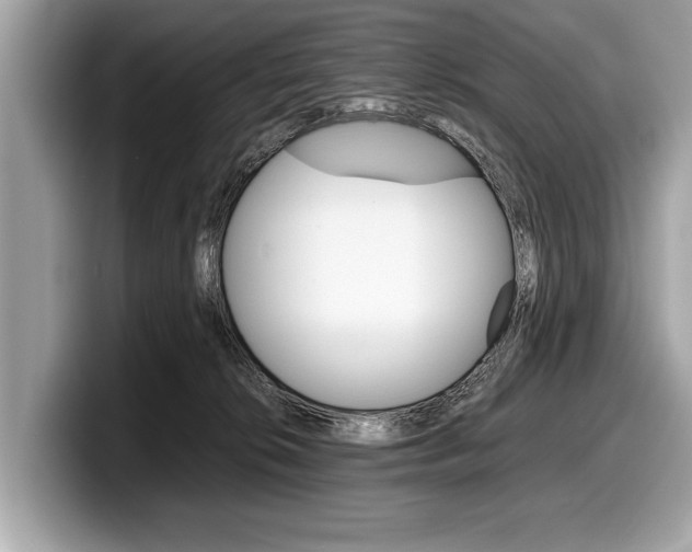 X0000099230276200804241235