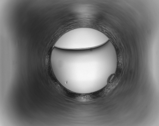 X0000099230278200804241235