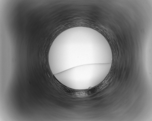 X0000099230279200804241235