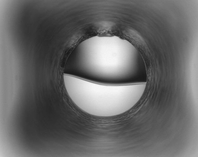 X0000099230280200804241235