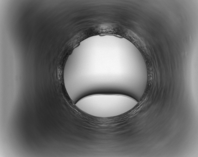 X0000099230281200804241235