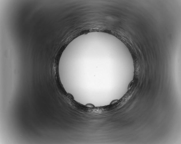 X0000099230282200804241235