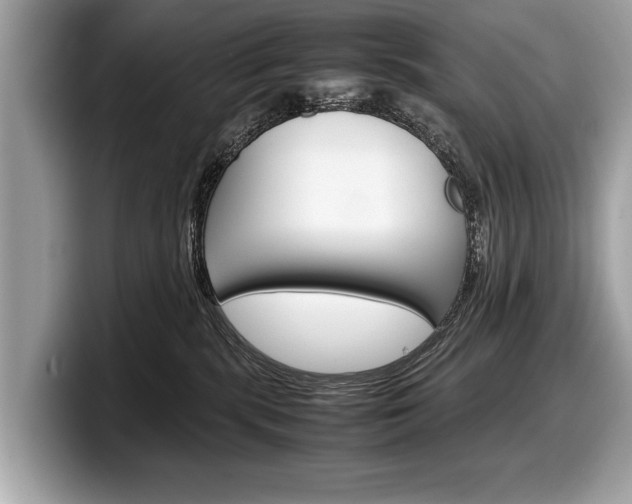 X0000099230283200804241235