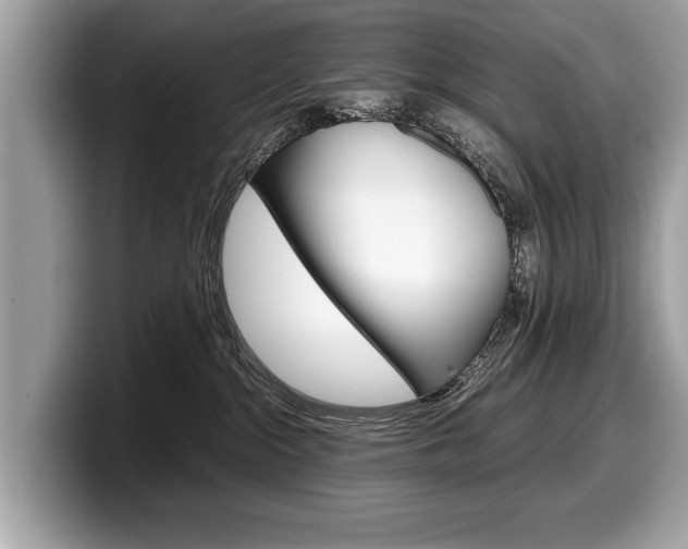 X0000099230284200804241235