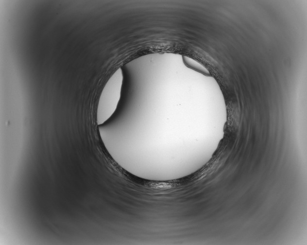 X0000099230287200804241235