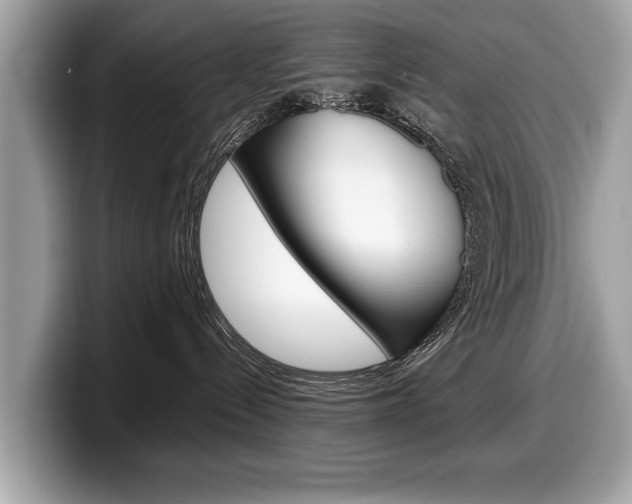 X0000099230288200804241235