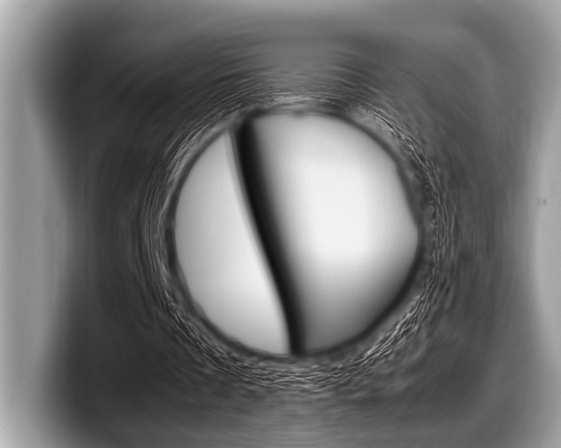 X0000099230289200804241235