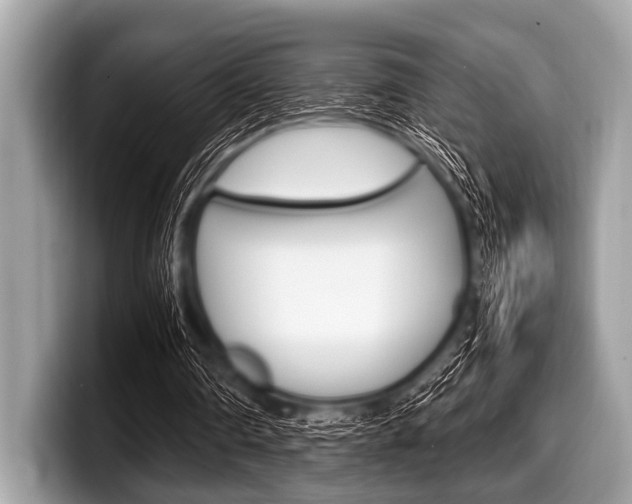 X0000099230290200804241235