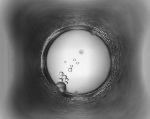 X0000099230294200804241235