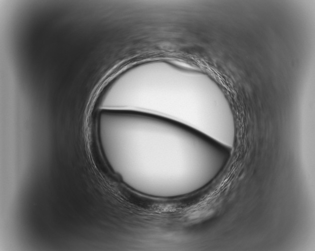 X0000099230295200804241235