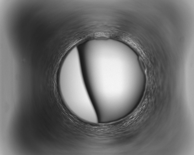 X0000099230297200804241235