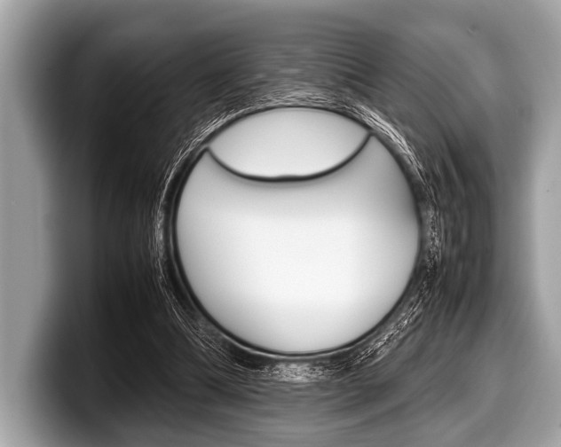 X0000099230298200804241235