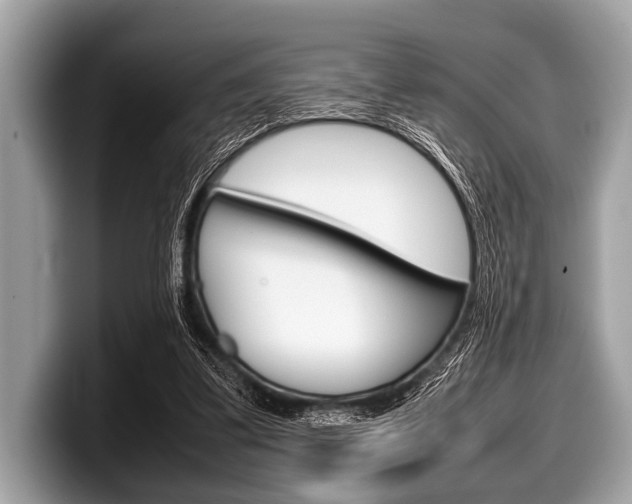X0000099230299200804241235