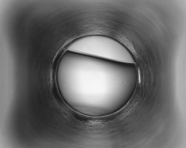 X0000099230300200804241235