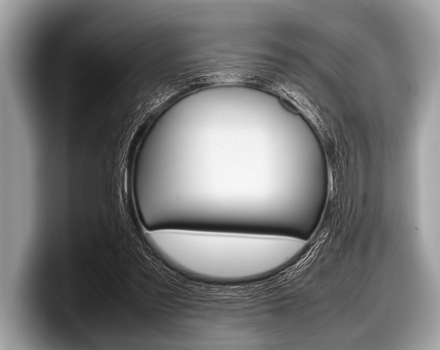 X0000099230301200804241235