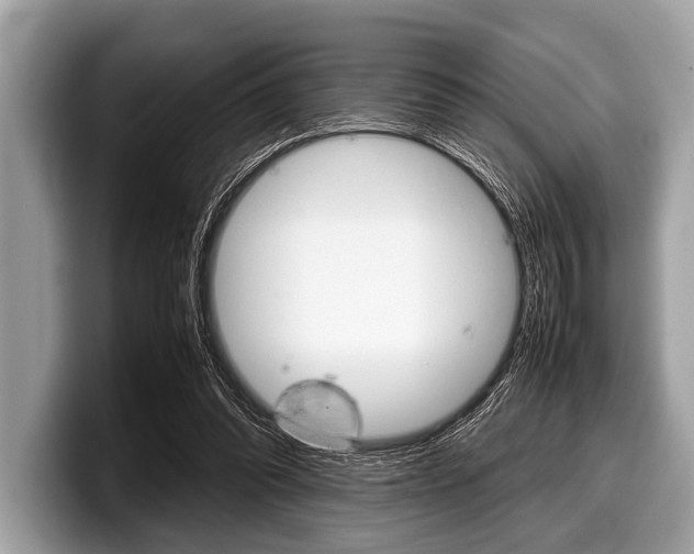 X0000099230302200804241235