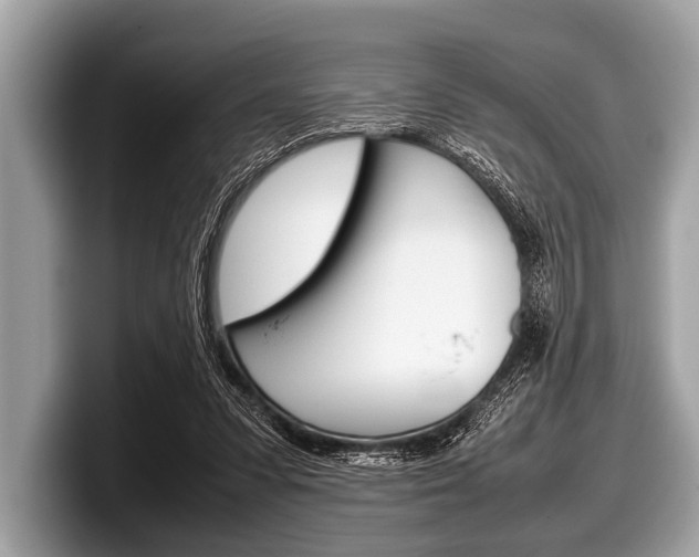 X0000099230303200804241235