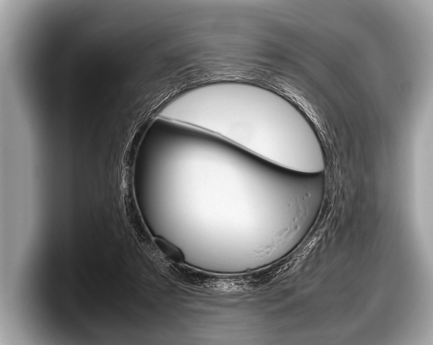 X0000099230305200804241235