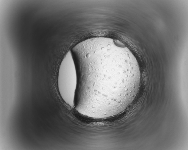 X0000099230307200804241235