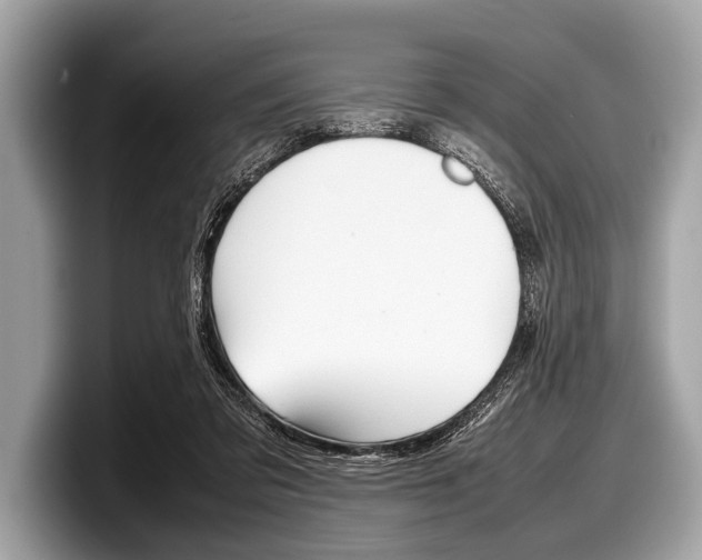 X0000099230309200804241235