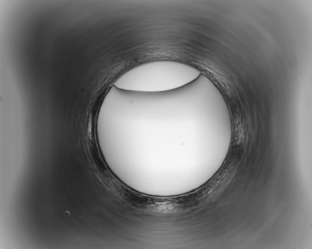 X0000099230310200804241235