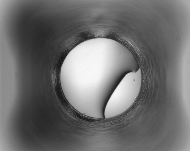 X0000099230311200804241235