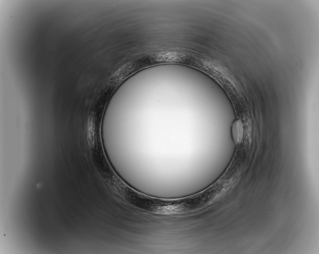 X0000099230312200804241234