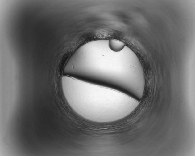 X0000099230315200804241234
