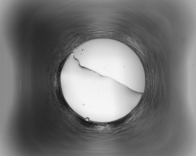 X0000099230317200804241234