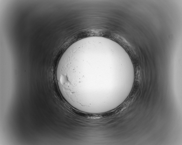 X0000099230318200804241234