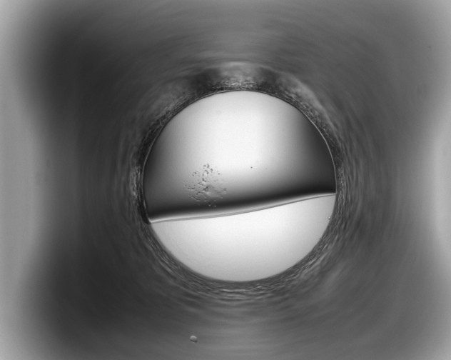X0000099230325200804241234
