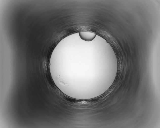 X0000099230326200804241234
