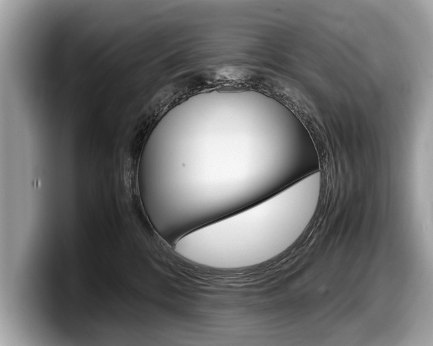 X0000099230328200804241234