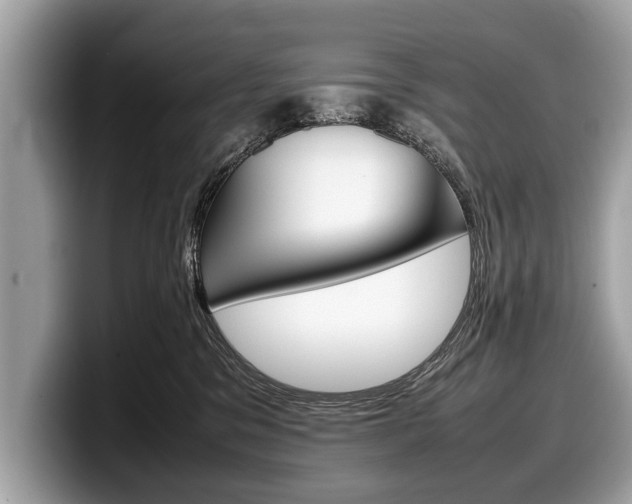 X0000099230329200804241234