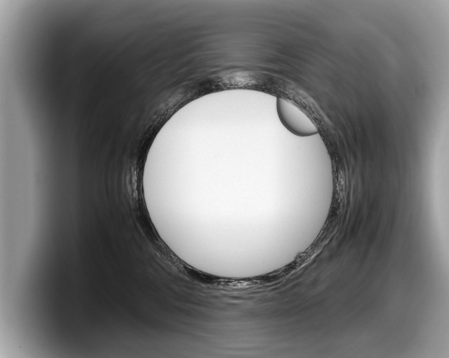X0000099230330200804241234