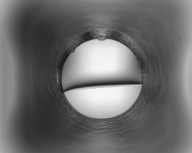 X0000099230331200804241234