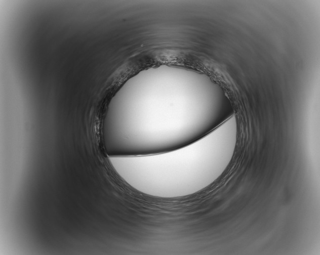 X0000099230332200804241234