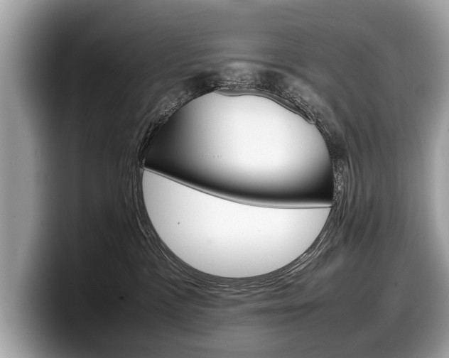 X0000099230333200804241234