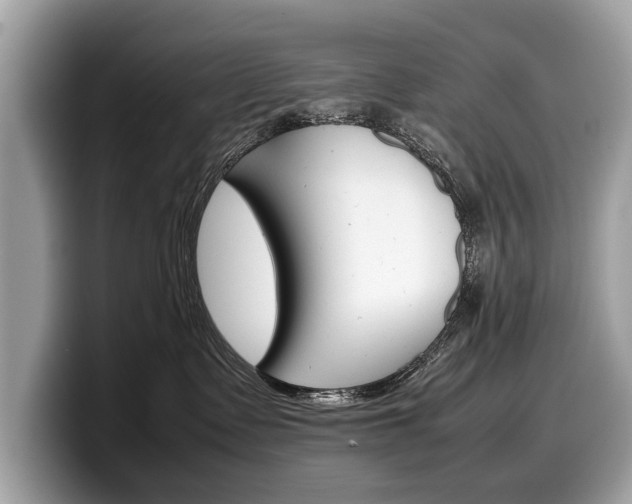 X0000099230335200804241234