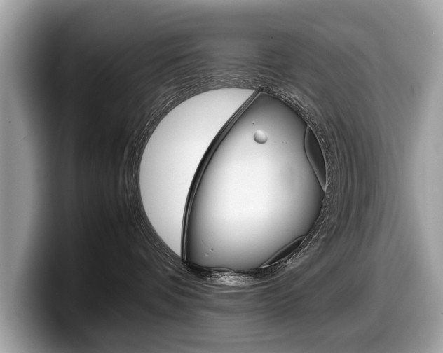 X0000099230336200804241234