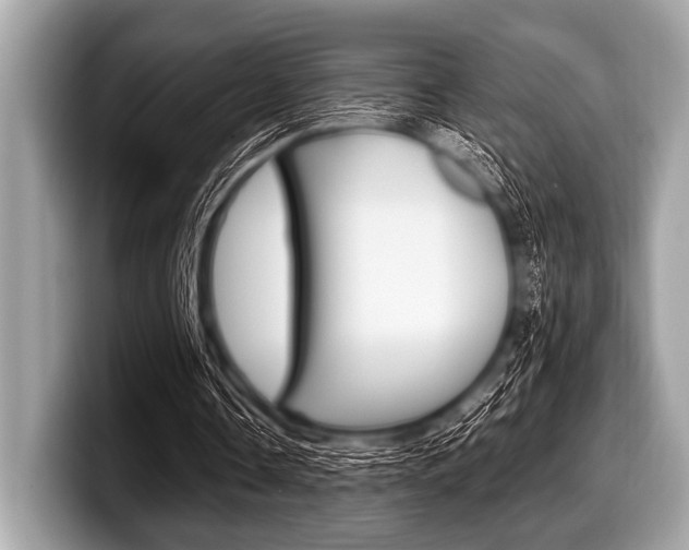 X0000099230338200804241234