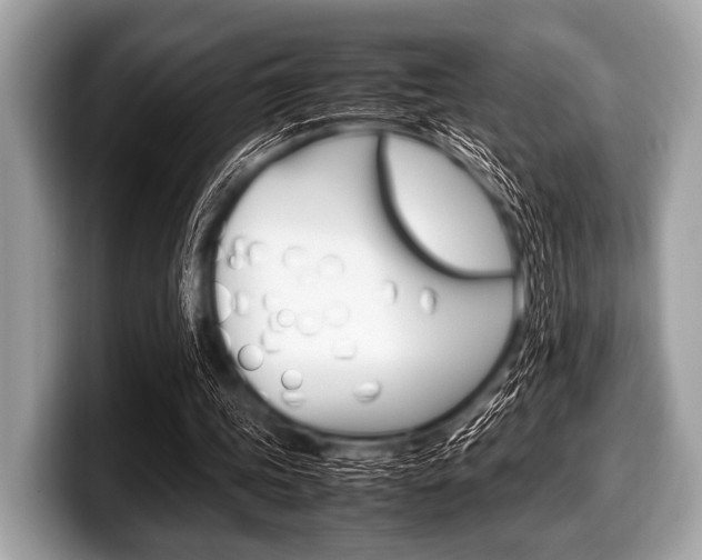 X0000099230339200804241234