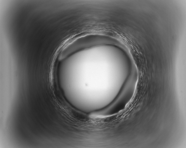 X0000099230340200804241234